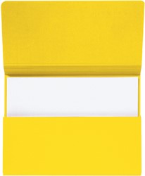 Secolor Pocketmap folio geel