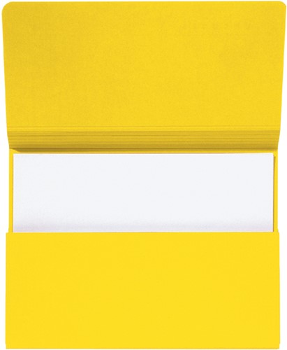 Secolor Pocketmap folio geel