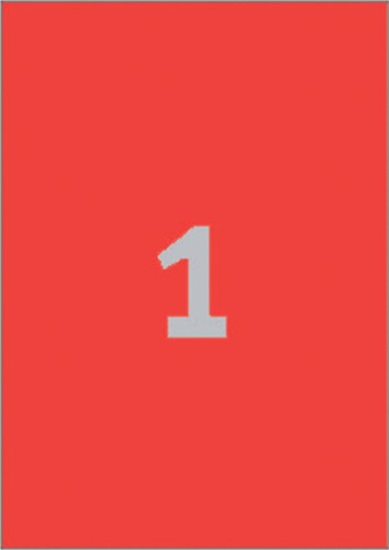 Etiket A4 210x297mm 3470 ds/100 rood-2