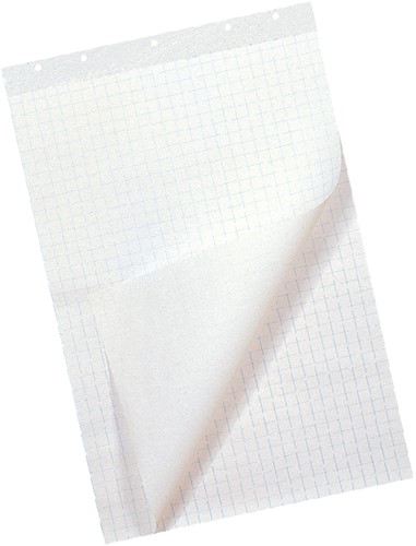 Flipoverpapier 65x98cm 20vel opgerold