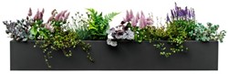 Plantenbak Flowerbox