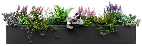 Plantenbak Flowerbox