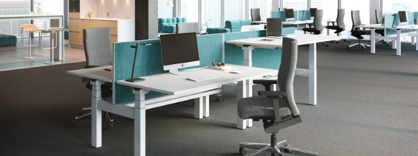 2021 - Voorpag - Cat banners - 2