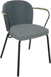 Rondo 4-poots met armleggers, metaal Ø 21/12 mm, hoge rug, zithoogte 46 cm