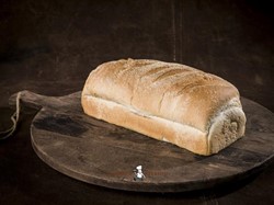 Brood