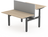 Bureau Huislijn FlexFrame duo-bureau elektrisch verstelbaar - hoogte instelbaar 65 - 130cm, incl. memory funtie, leverbaar in diverse maten en uitvoeringen-3