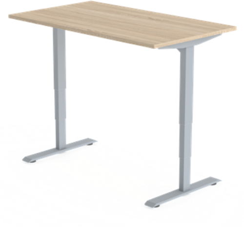 Bureau Huislijn FlexFrame elektrisch verstelbaar