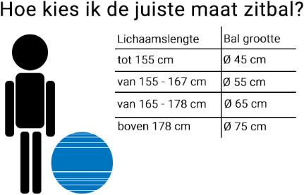 Zitbal Togu ABS 65 cm zilver-2